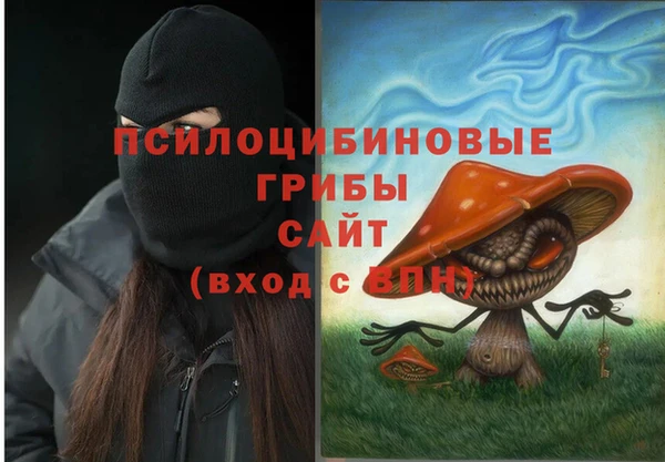 меф Вяземский