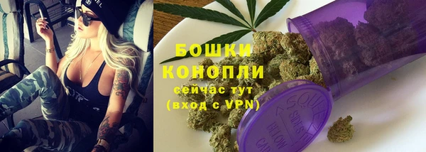 МДПВ Волоколамск